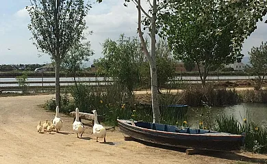La Caseta de Susana en Deltebre (Tarragona) - Foto 23