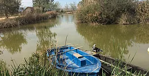 La Caseta de Susana 0025