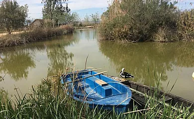 La Caseta de Susana en Deltebre (Tarragona) - Foto 25