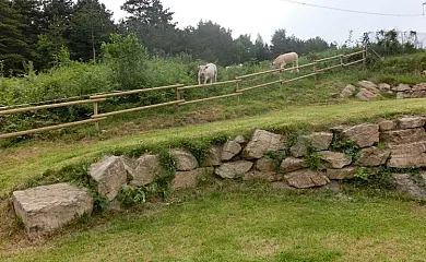 Mas Fel en Camprodon (Girona) - Foto 8