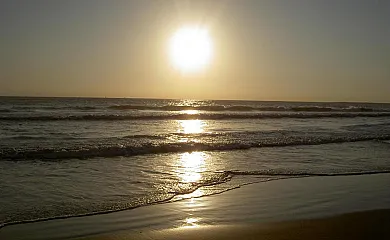 Barraca Gran en Deltebre (Tarragona) - Foto 7