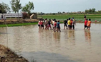 Barraca Gran en Deltebre (Tarragona) - Foto 9