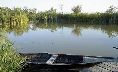 Barraca Gran en Deltebre (Tarragona) - Foto 10