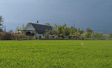 Barraca Gran en Deltebre (Tarragona) - Foto 12