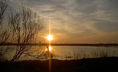 Barraca Gran en Deltebre (Tarragona) - Foto 13