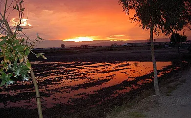 Barraca Gran en Deltebre (Tarragona) - Foto 20
