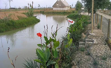 Barraca Gran en Deltebre (Tarragona) - Foto 25