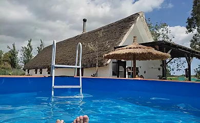 Barraca Gran en Deltebre (Tarragona) - Foto 1