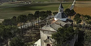 El Olivar del Gato 0064