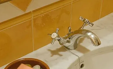 El Muig en Sant Joan de Les Abadesses (Girona) - Foto 9