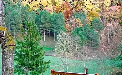 El Muig en Sant Joan de Les Abadesses (Girona) - Foto 24