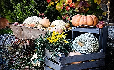 El Muig en Sant Joan de Les Abadesses (Girona) - Foto 6