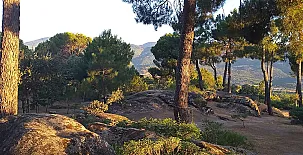 La Cabaña de la Abuela 0032