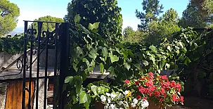 La Cabaña de la Abuela 0029