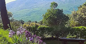La Cabaña de la Abuela 0033