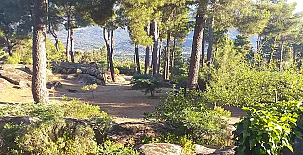 La Cabaña de la Abuela 0034