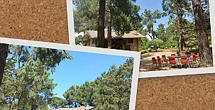 La Cabaña de la Abuela 0036