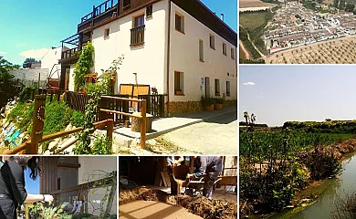 La Choza de Trasmulas