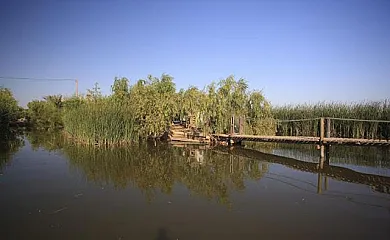 Caseta Morritos en Deltebre (Tarragona) - Foto 8