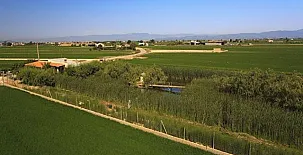 Caseta Morritos 0013