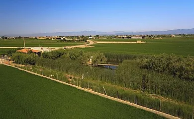 Caseta Morritos en Deltebre (Tarragona) - Foto 13