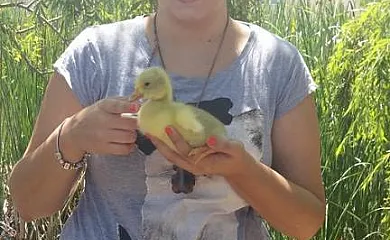 Caseta Morritos en Deltebre (Tarragona) - Foto 18