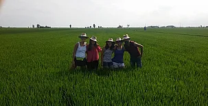 Caseta Morritos 0019