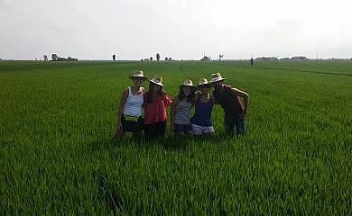 Caseta Morritos en Deltebre (Tarragona) - Foto 19