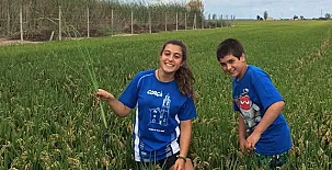 Caseta Morritos 0022