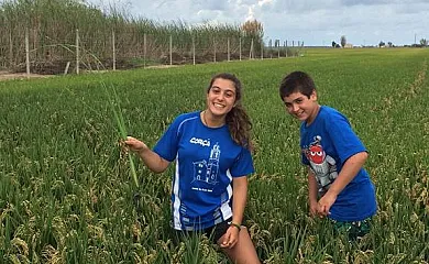 Caseta Morritos en Deltebre (Tarragona) - Foto 22