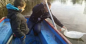 Caseta Morritos 0026