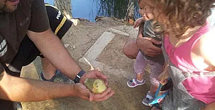 Caseta Morritos 0027