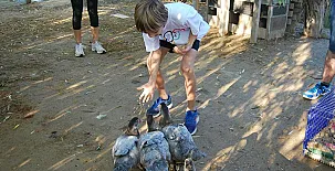 Caseta Morritos 0032