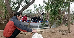 Caseta Morritos 0037