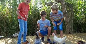 Caseta Morritos 0038