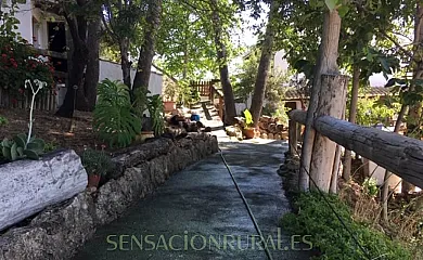 Paraje el Fontanal en Fuentes de Cesna (Granada) - Foto 15