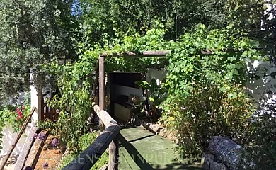 Paraje el Fontanal en Fuentes de Cesna (Granada) - Foto 16