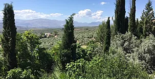 Paraje el Fontanal 0030