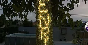 Casa Enric 0030