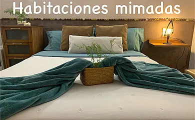 Casa Enric en Deltebre (Tarragona) - Foto 16