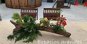 Casa Enric 004
