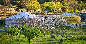 Jardín de las Delizias 003