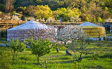 Jardín de las Delizias en Casas Del Castañar (Cáceres) - Foto 3