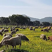 Finca La Rinconada 001