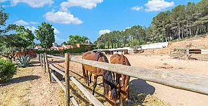 Comarquinal Bioresort Penedes 004