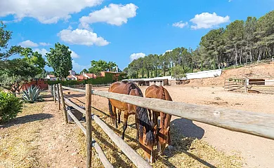 Comarquinal Bioresort Penedes en Sant Quinti De Mediona (Barcelona) - Foto 4