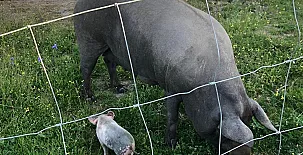 Casa Rural La Tahona del Abuelo 005
