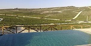 Casa Viña Santa Petronila 002