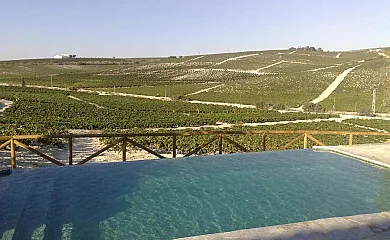 Casa Viña Santa Petronila en Jerez de la Frontera (Cádiz) - Foto 2