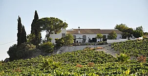 Casa Viña Santa Petronila 003